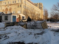В районі станції метро «Завод ім. Малишева» вирубано близько 50 дерев