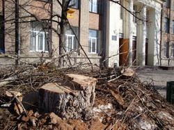 Харківський відділ освіти змушує вирубувати дерева на шкільних подвір’ях