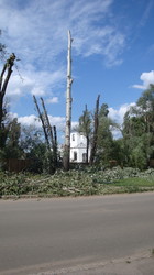 Навколо храму Святителя Миколая вирубано майже всі дерева
