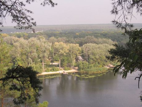 Боротьба за збереження Гомільшанських лісів поширилась за межі України: Міністерство екоресурсів має зупинити підлеглих йому "лісорубів"!