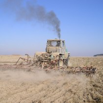 Financial Times: Українська влада зумисне стримує розвиток сільського господарства