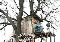 Українські пенсіонери переселяються на дерева. ФОТО