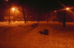 Антихристиянський акт вандалізму: в  Молодіжному парку Харкова спиляно пам'ятний хрест УПА