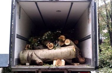 В аеропорт Дніпропетровська звозять дрова для військових