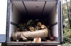 В аеропорт Дніпропетровська звозять дрова для військових