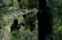 Міліція Луганщини надала детальні дані за добу, щодо обстрілів, що їх здійснили терористи