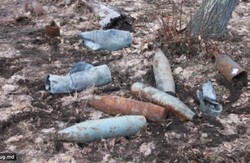 У лісах Луганської області щотижня вибухають залишені боєприпаси