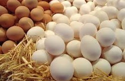 З якої причини у Харкові впала ціна на яйця