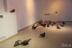 В Муніципальній галереї стартував «Пташиний Bizarre»