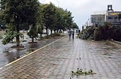 Луганськ сильно постраждав від урагану