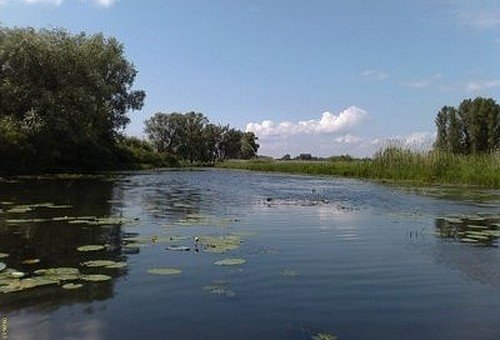 день дніпра