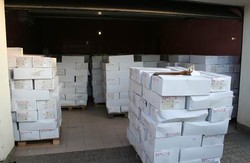 Зловмисники вкрали сиру на 1 млн гривень, а ще вони налагодили канал постачання в РФ