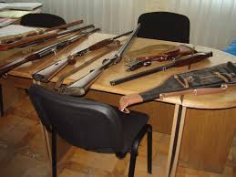 У лісосмузі поблизу Малої Данилівки знайшли цілий арсенал зброї