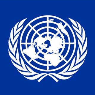 У Радбезі ООН зробили заяву з приводу терактів у Парижі