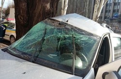У Кривому Розі авто «врізалося» в дерево (фото)