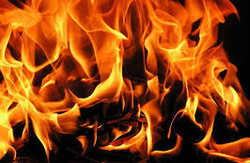 У Харкові вогонь спалив 2 мікроавтобуси з господарчими будівлями