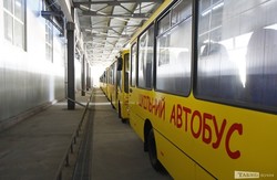 На шкільні автобуси і ПТУ планують витратити майже 50 мільйонів гривень