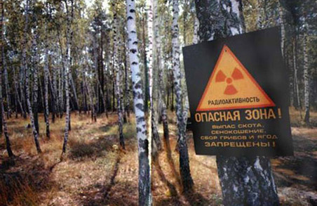 У Чорнобильскій зоні буде заповідник