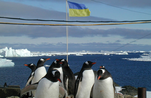 Харківські полярники у Антарктиці. Як живуть та працюють українські вчені