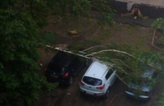 Повалені дерева та затоплені вулиці. Негода на Харківщині триватиме (відео)