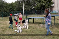 На проспекті Льва Ландау відкрили майданчик для вигулу собак