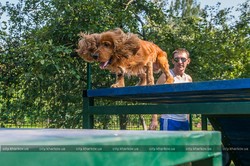 Мешканцям Холодногірського району тепер є де "офіційно" вигуляти собаку