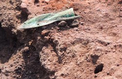 На Полтавщині археологи знайшли скіфське золото