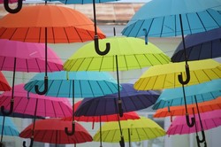 Між домами на Сумській з'явилася алея парасольок