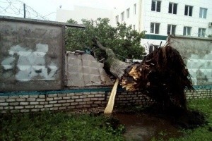 Негода у Харкові повалила дерева та відірвала дах