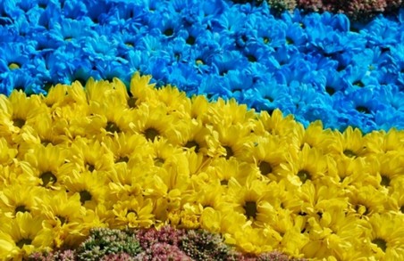 Українці до Дня прапору мають побити світовий рекорд