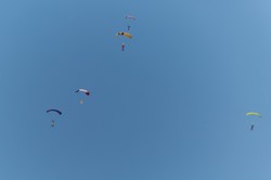 Військовий літак і 50 парашутистів: як у Коротичі встановлювали рекорд (ФОТО)