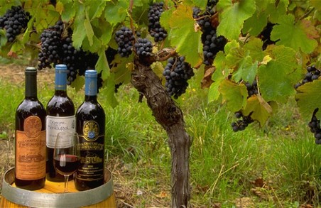 Франція скорочує виробництво вина