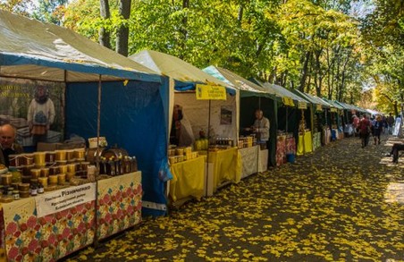 Мед, теплий одяг і овочі: що можна купити на Покровському ярмарку в Харкові