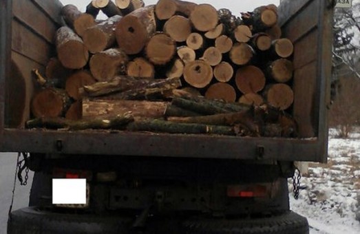 З Харківщини продовжують нелегально вивозити деревину