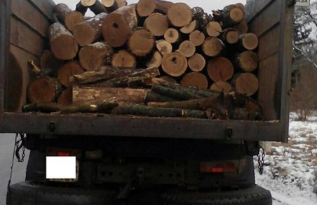 З Харківщини продовжують нелегально вивозити деревину