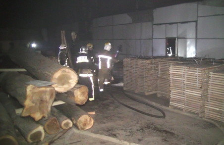 Рятувальники ліквідували значну пожежу у деревообробному цеху/ Фото