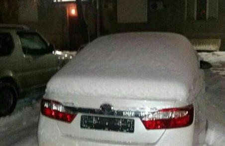 Викрадачі сховали машину в снігу