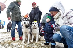 Winter Dog Fest. Під Харковом пройшли гонки північних їздових собак в упряжках/ Фоторепортаж