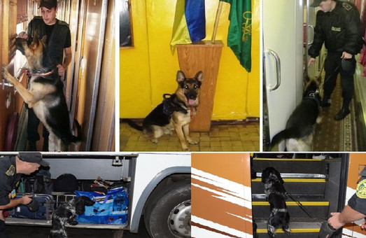 Поліцейському собаці Любомиру сподобалося знаходити наркотики