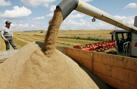 В Україні зібрано рекордний врожай зернових культур