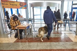 Собаки в Харкові: за «Зимовий кубок-2017» змагаються кращі / ФОТОРЕПОРТАЖ