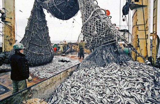 Україна побила двадцятирічний рекорд з вилову риби