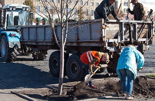 У Харкові цієї весни планують висадити близько 2 тис. дерев