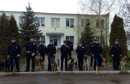 Вулиці Харкова почнуть частіше патрулювати з собаками