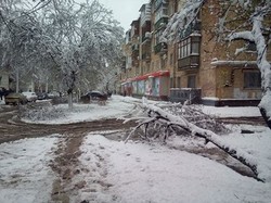 Зимова "казка" повернулася до Харкова/ Фоторепортаж