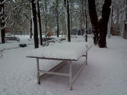 Зимова "казка" повернулася до Харкова/ Фоторепортаж