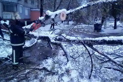 Рятувальники ліквідують наслідки негоди на Харківщині/ Фото, Відео
