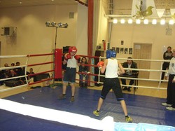 Під патронатом Юлії Світличної на Краснокутщині відбувся обласний турнір з боксу