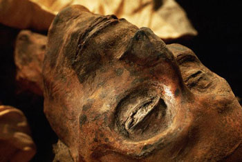 В Києві знайдено справжню давньоєгипетську мумію
