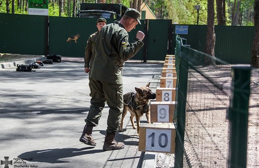 Військові собаки до Євробачення 2017 готові!/ Фото